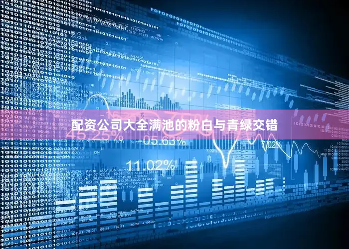 配资公司大全满池的粉白与青绿交错